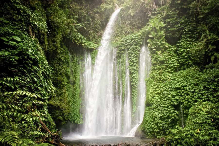 Lombok Spectacular: Waterfalls, Selong Hill & Pusuk Sembalun - Exploring Sendang Gile & Tiu Kelep Waterfalls