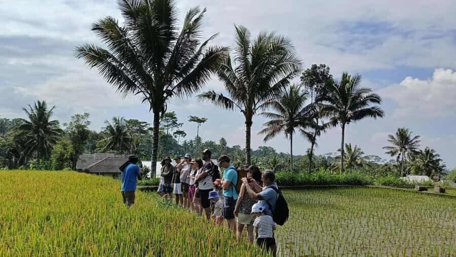 Lombok: Tetebatu Village and Rice Fields Guided Tour - A Genuine Look at the Lombok Countryside