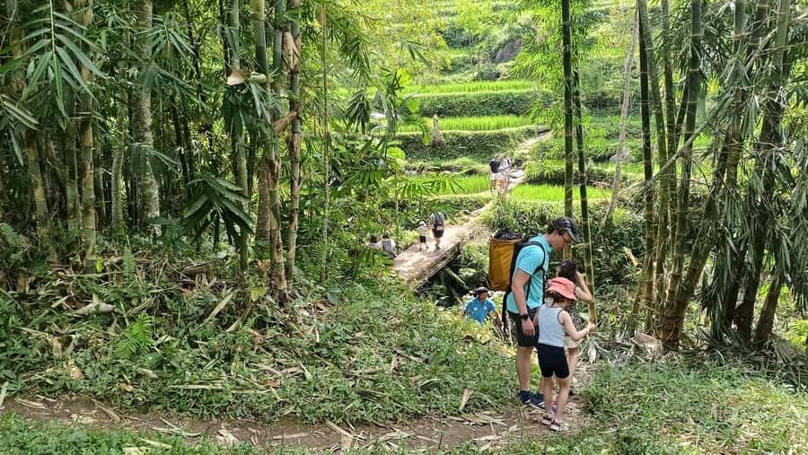 Lombok: Tetebatu Walking Tour with Monkey Forest & Waterfall - Deep Dive into the Details