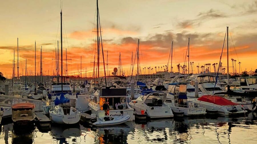 Los Angeles #1: Luxury Boat Cruise-Wine, Cheese & Sea Lions - Itinerary Breakdown