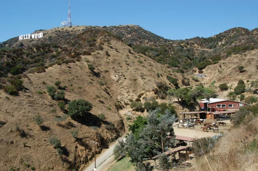 Los Angeles: Evening 2-Hour Hollywood Horseback Riding Tour - The Horses and the Guides: Why They Matter