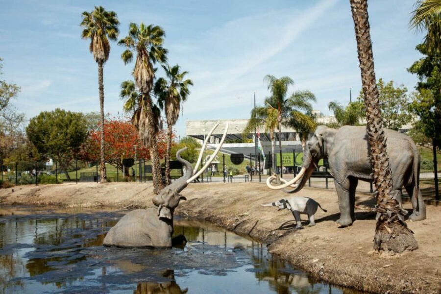 Los Angeles: La Brea Tar Pits Museum Ticket - The Experience in Detail