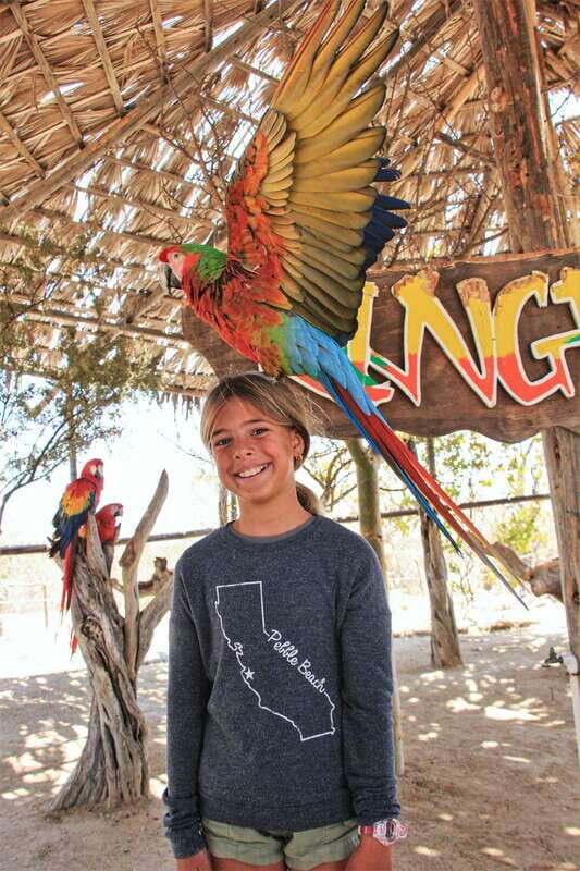 Los Cabos: Animal Encounter & Aqua Park Adventure - The Details: What’s Included and What’s Not