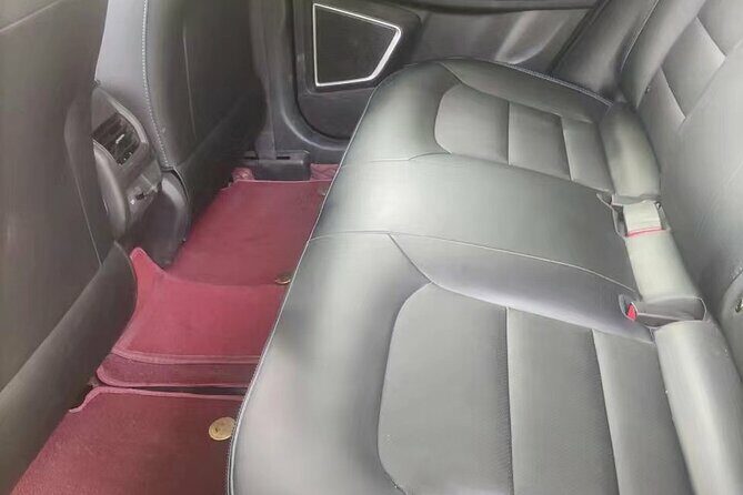 Luoyang private car for Longmen Grottoes and Shaolin temple - Walkthrough of the Traveler Experience