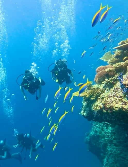 Maafushi: Discover Scuba Diving Class, First Time Experience - Authentic Experiences and Honest Feedback
