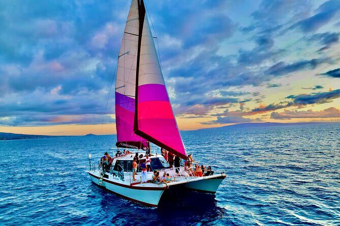 Maalaea Whale Watching Activity Visit - The Authentic Experiences and What Travelers Say