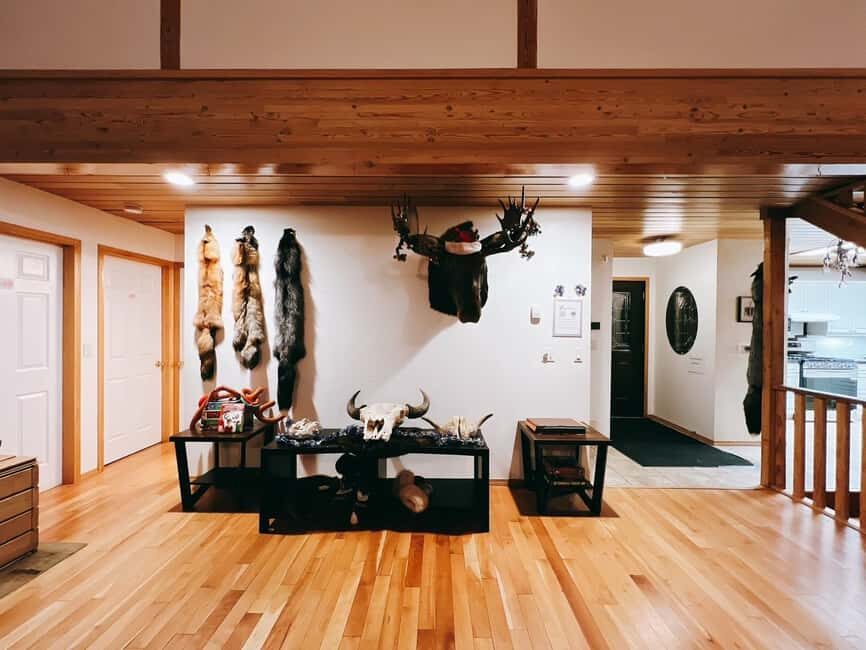 Madeline Lake: Aurora Lodge and Aurora Chasing Tour - FAQ