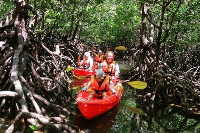 Mangrove Tour by Kayaking in Ko Lanta With Lunch - What We Learned from the Reviews