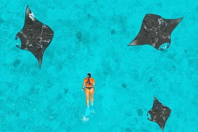Manta Point Snorkeling & West Nusa Penida Island Day Tour - The Value of This Tour