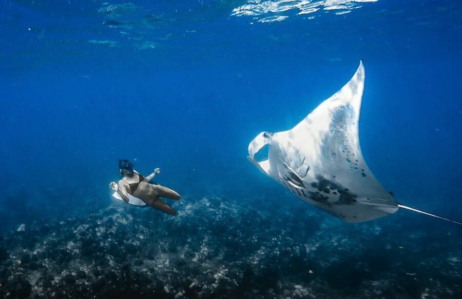 Manta Ray Snorkel in Kailua-Kona with Hot Cocoa - The Return and Post-Experience Comfort