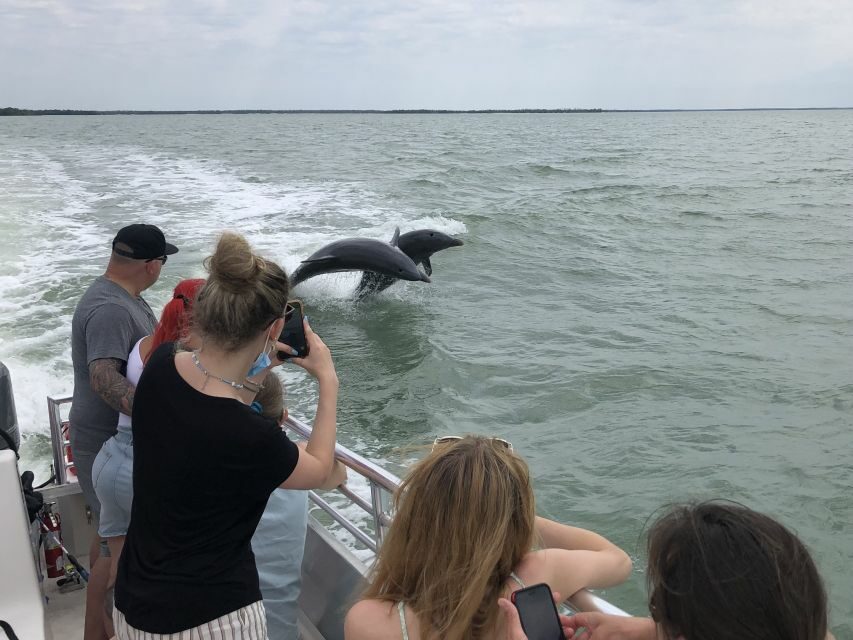 Marco Island: Ten Thousand Islands Shelling & Dolphin Tour - Price and Value