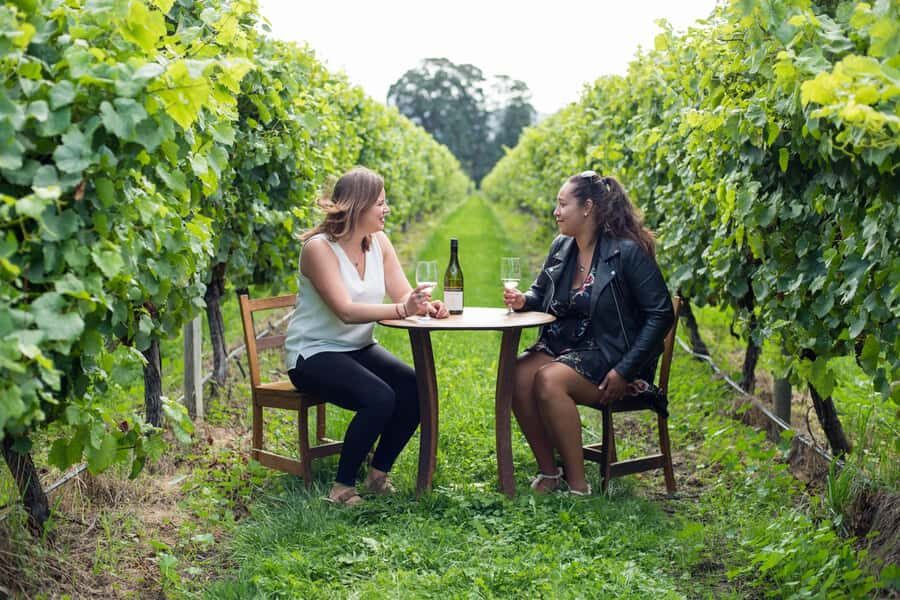 Marlborough Half Day Wine Tour From Picton 1pm - The Value of This Tour