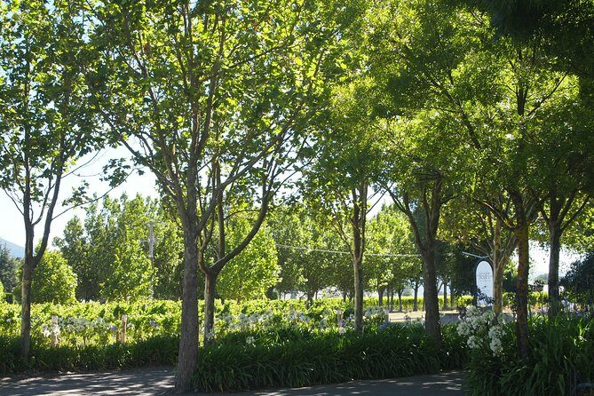 Marlborough Wine Region Tour from the Port of Picton - The Sum Up
