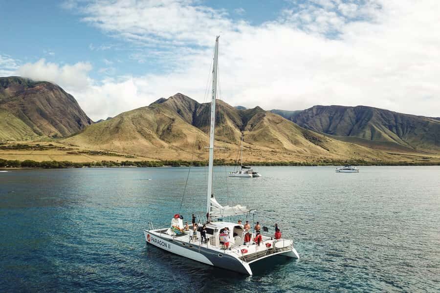 Maui: Morning Sail with the Whales Lahaina Harbor - The Experience From the Reviews