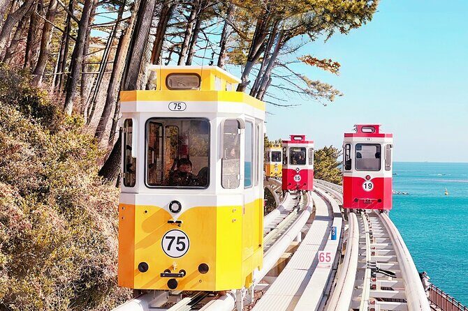 Max Out Busan: Highlight Top Attractions One Day Tour - A Full Breakdown of the Itinerary