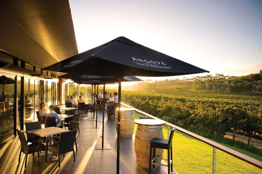 McLaren Vale North: Hop-On Hop-Off Tour - Who Is This Tour Best For?