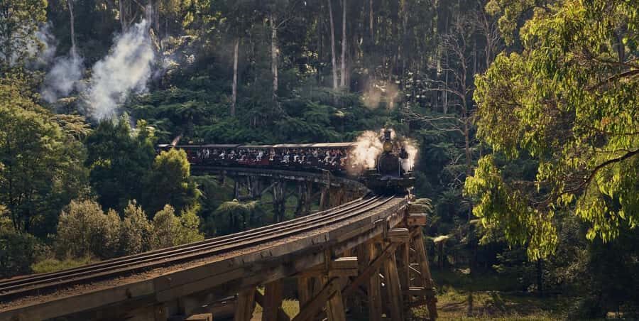 Melbourne: Puffing Billy Train & Healesville & Winery Tour - What Travelers Can Expect from the Experience