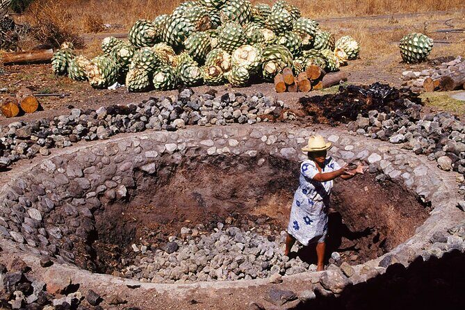 Mezcal Tasting -Masterclass + Blind tasting- - The Sum Up