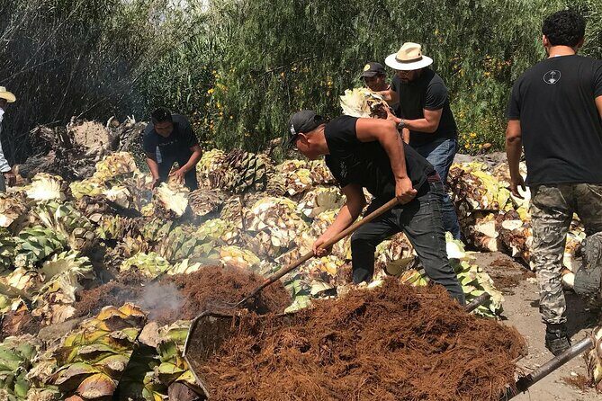 Mezcal Tour Oaxaca - The Itinerary: A Closer Look