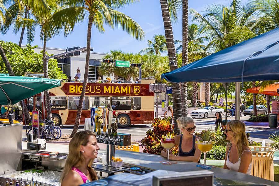 Miami Bundle: Everglades, Boat Cruise & Open-Top Bus Tour - What Travelers Appreciate Most