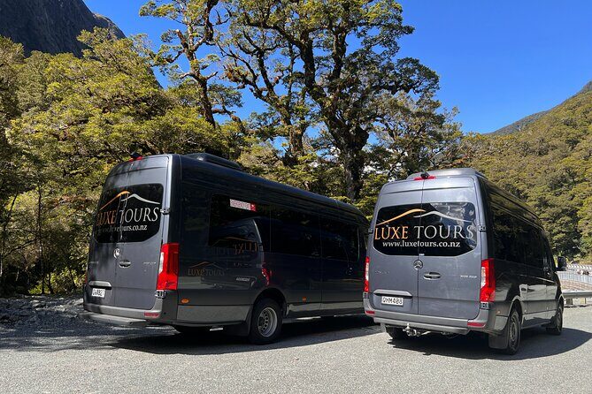 Milford Sound Full Day Tour from Te Anau with Cruise - Detailed Itinerary Breakdown