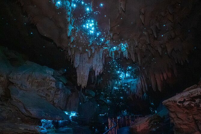 Milky Way Glowworm Cave Tour - Itinerary Breakdown: What You Can Expect
