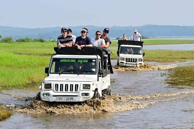 Minneriya National Park halfday Safari - Who Will Love This Tour?