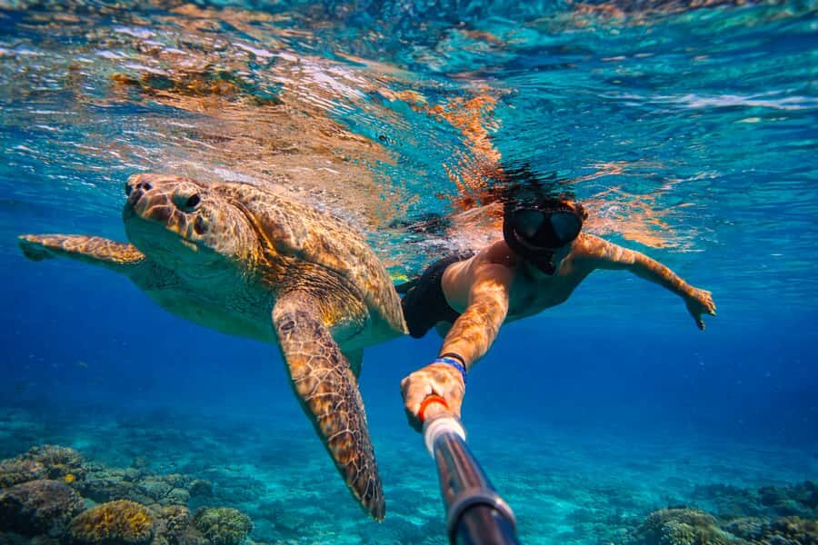 Mirissa: Guided Turtle Snorkeling Experience with Coral Reef - Who Will Love This Experience?