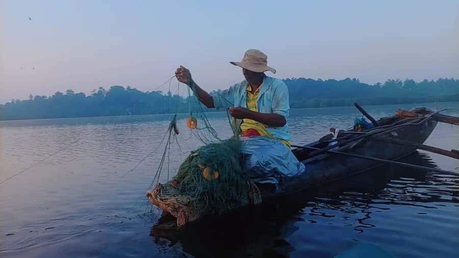 Mirissa: Kayak Safari Adventure Through Mangrove - The Value and Practicalities