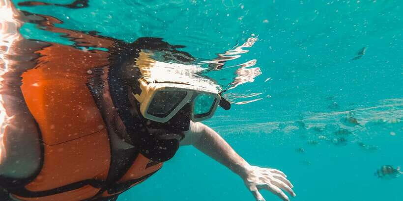 Mirissa: Snorkeling Experience with Turtles - Analyzing the Value: Is It Worth It?
