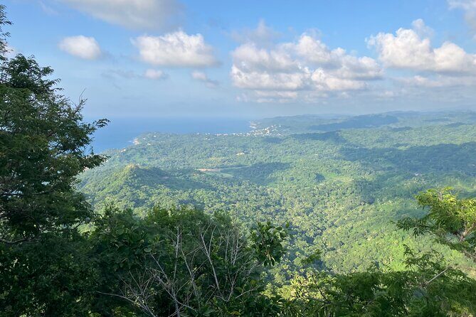 Monkey Mountain Hiking tour - Transportation and Group Size
