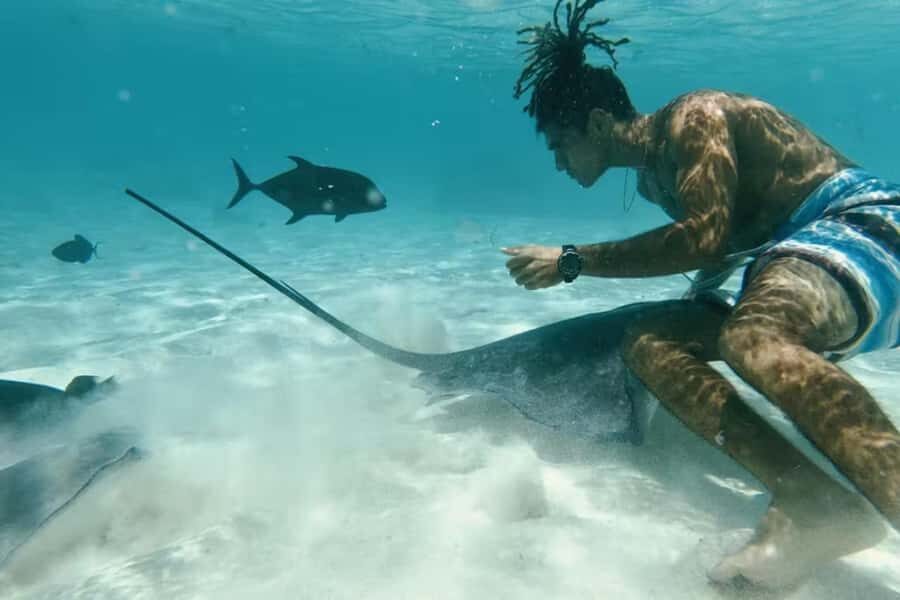 Moorea: Glass Bottom Boat Adventure with Lagoon Wonders - The Itinerary: What to Expect