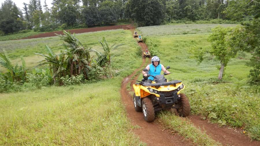 Mo'orea: Guided ATV Nature Tour - The Value of the Experience