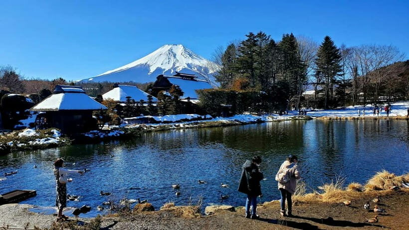 Mount Fuji & Hakone Full-Day Private Tour (Customizable) - The Practicalities: What You Need to Know