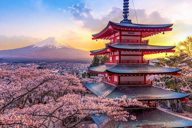 Mount Fuji Private Tour With English Guide Fully Customizable - Who Should Consider This Tour?