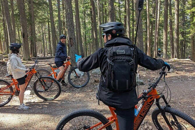 Mountain Breeze Tour - Mountain E Bike - Whistler Marmot Activity - The Value of the Tour