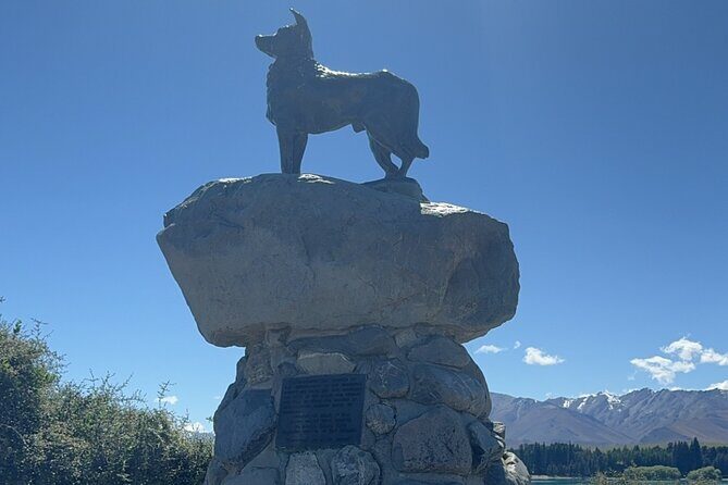 Mt. Cook Private Day Trip From Queenstown with Lake Tekapo - Whats Included and Whats Not