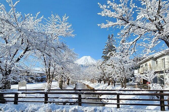 Mt. Fuji and Hakone Private Tour with English Speaking Driver - Transportation & Logistics: What It Means for You