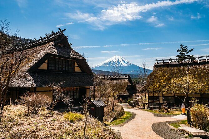 Mt Fuji Full Day Private Tour from Tokyo with English Driver - Practical Considerations: What Travelers Should Know