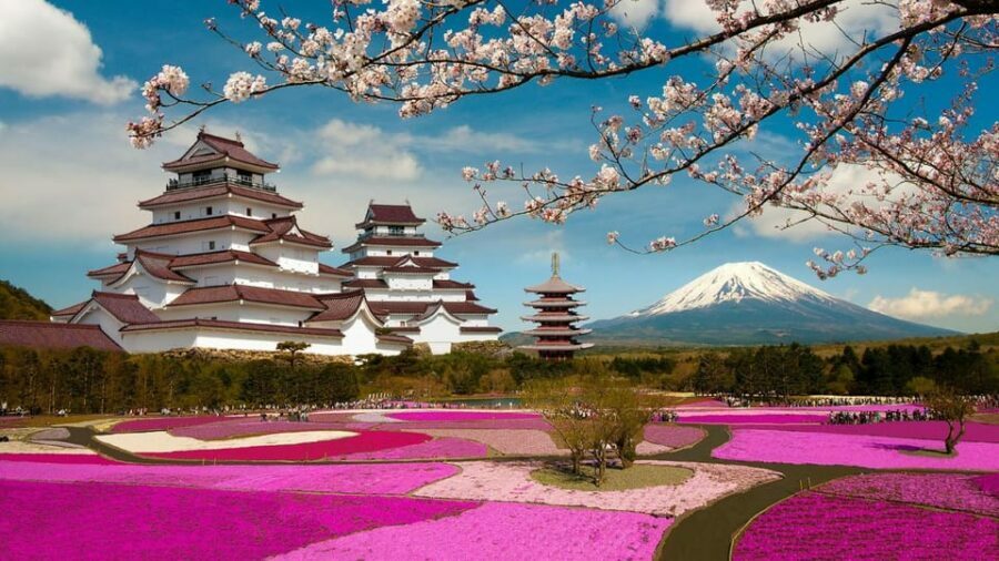 Mt Fuji Tour With Experienced English Driver - Final Thoughts: Is This Tour Right for You?
