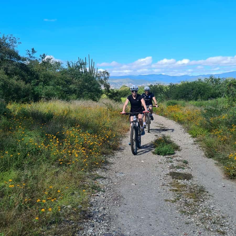 MTB Bike Tour: Tule Tree through the country-side - Detailed Itinerary Breakdown
