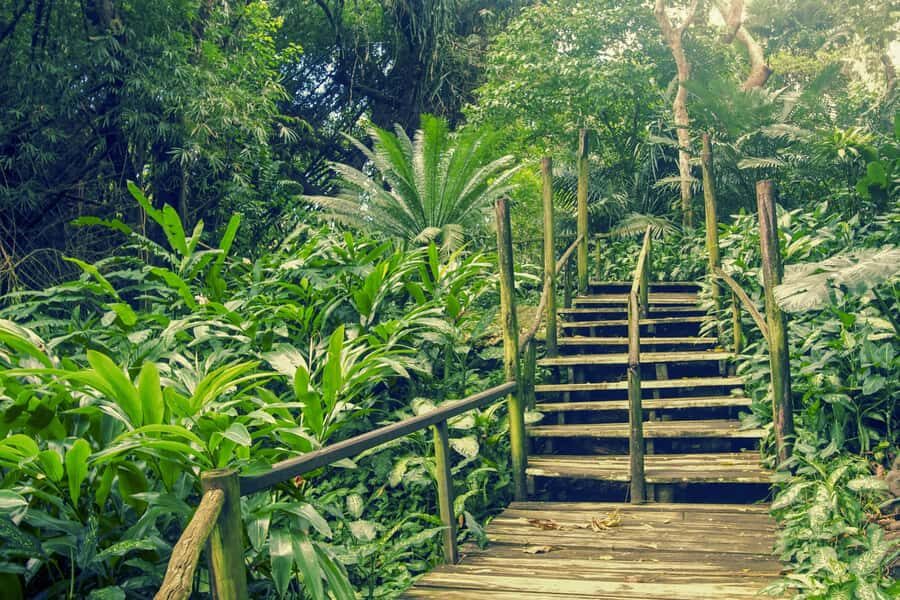 Nadi: Garden Village Hot Spring & Temple Highlights Tour - Key Points