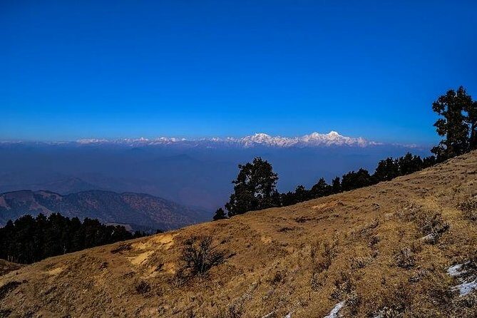 Nag Tibba 2 Days Trek (Pantwari to Pantwari) - Authentic Encounters and Reviews