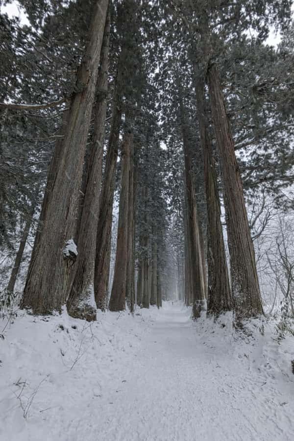 Nagano Snowshoe Adventure with Traditional Kanjiki - Why This Tour Offers Great Value