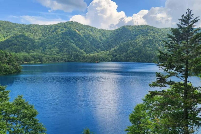 Nagano UNESCO Park: Emerald Acid Lake & Ghibli Onsen Town - Why This Tour Offers Great Value