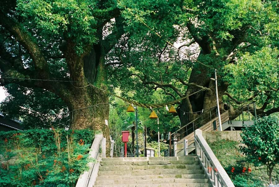 Nagasaki Peace Park Tour Private Tour - The Practical Details