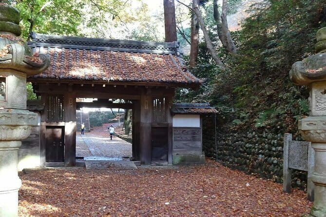Nagoya: all-inclusive car tour to Korankei valley - Analyzing the Value