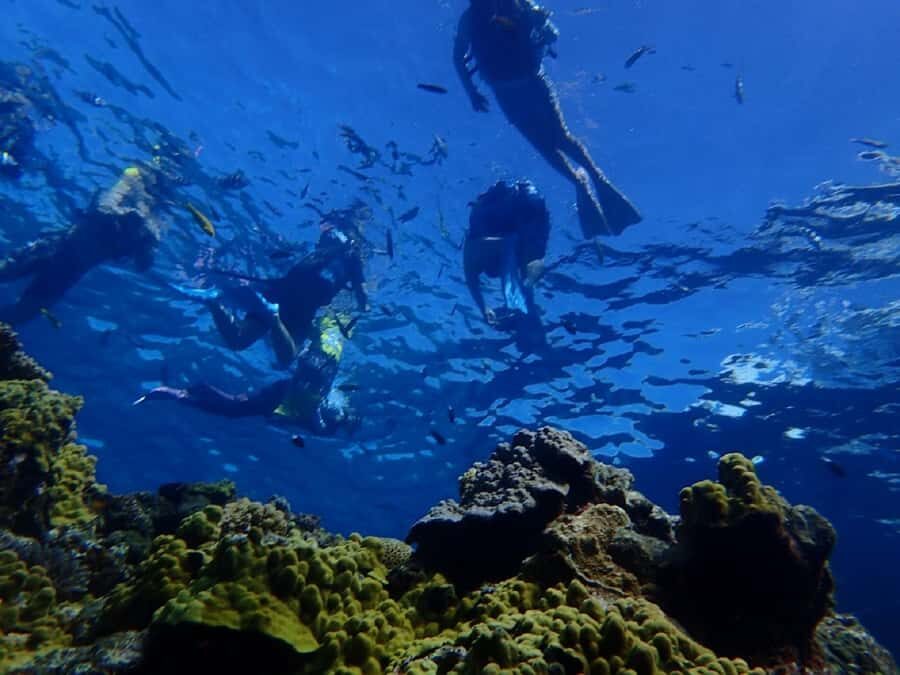 Naha: Tokashiki Day Trip & Kerama Islands Scuba Diving Trip - Transportation and Logistics