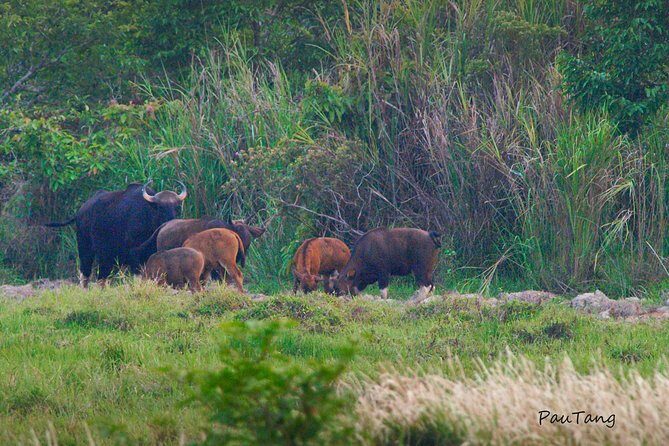 Nam Cat Tien National Park 2-Day Tour with Lodging, Meals.. - Who Is This Tour Best For?