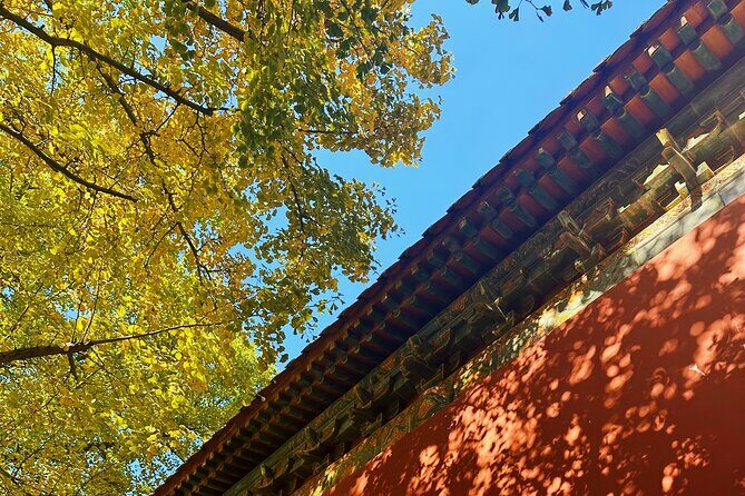 Nanjing Professional and Private Tour Guide Service - The Sum Up